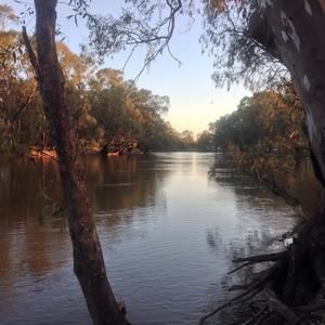 Meet your Posher, Michele